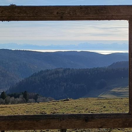 Apartament Sonnenstrahl Todtmoos Zewnętrze zdjęcie