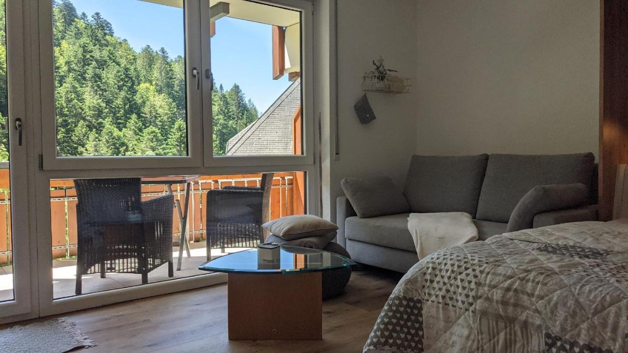 Apartament Sonnenstrahl Todtmoos Zewnętrze zdjęcie