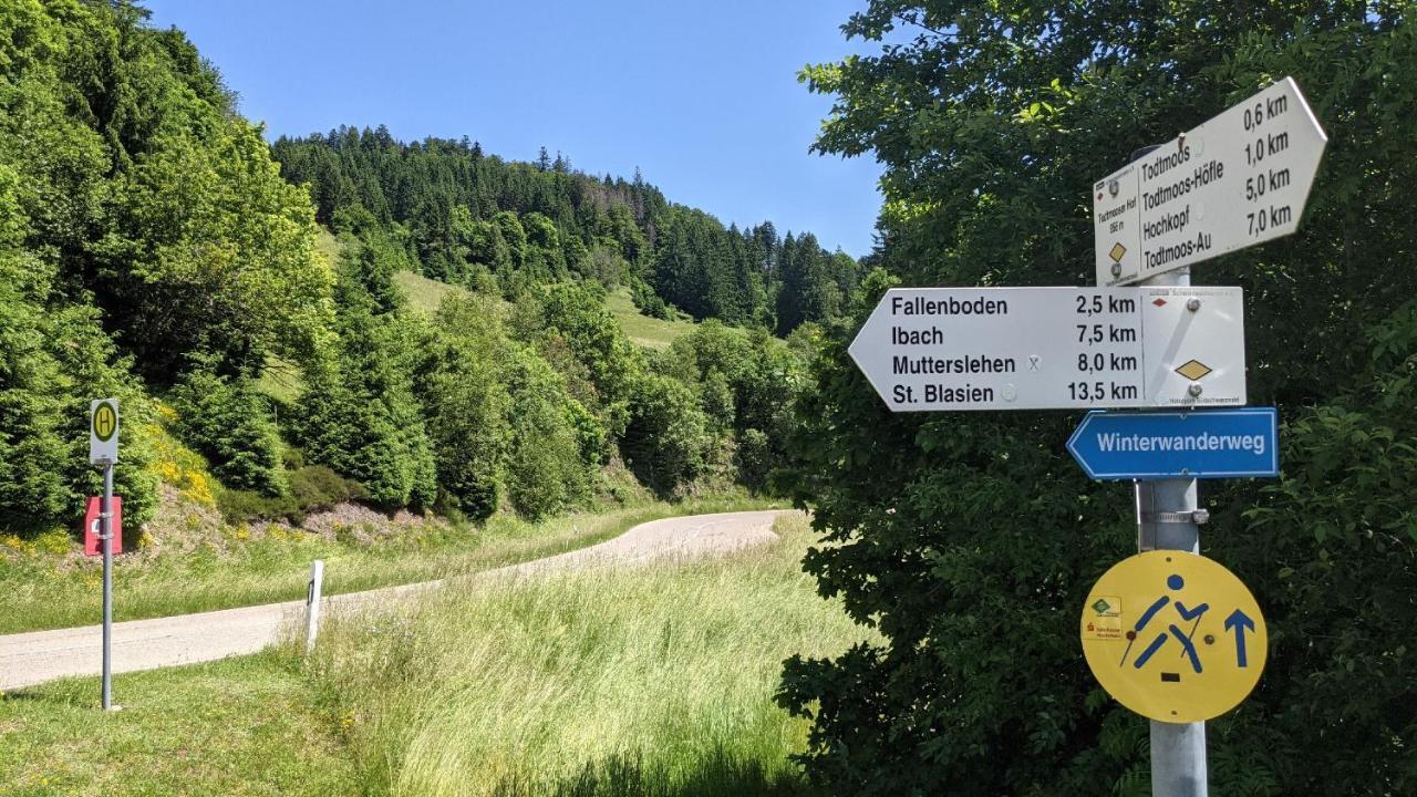 Apartament Sonnenstrahl Todtmoos Zewnętrze zdjęcie