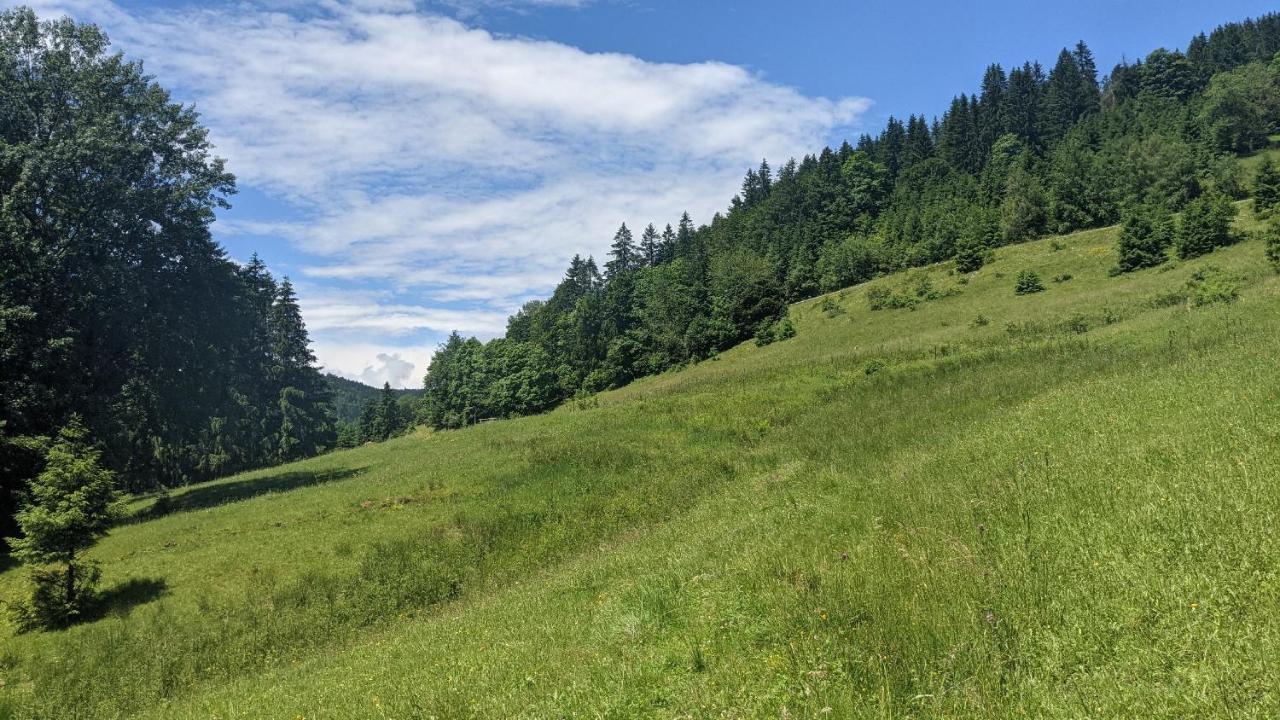 Apartament Sonnenstrahl Todtmoos Zewnętrze zdjęcie